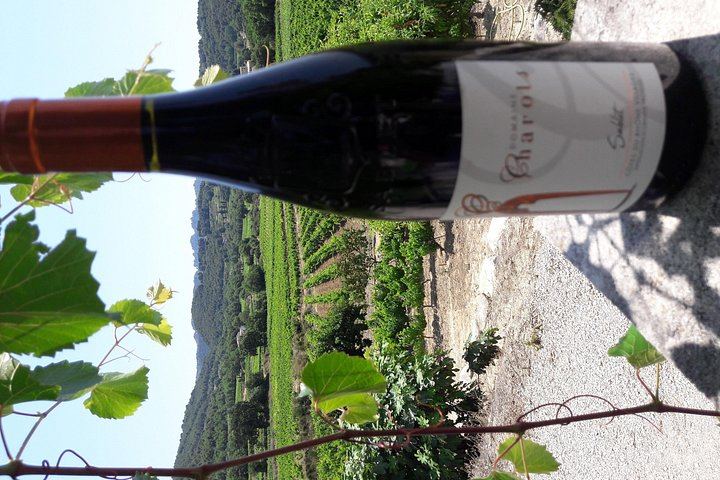 Family Estate Wine Tasting in Sablet: 15 Hectares in Gigondas and Sablet, Four Generations (6/7)
