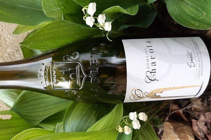 Family Estate Wine Tasting in Sablet: 15 Hectares in Gigondas and Sablet, Four Generations (7/7)