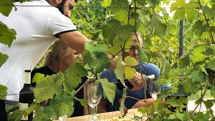 Small-Group Kakheti Wine Tour from Tbilisi with Lunch, Max 10 Guests per Guide (3/12)