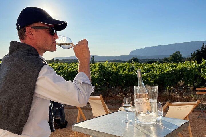 Private Full-Day Provence Wine Tour with Hotel Pickup from Marseille, Aix or Avignon (3/10)