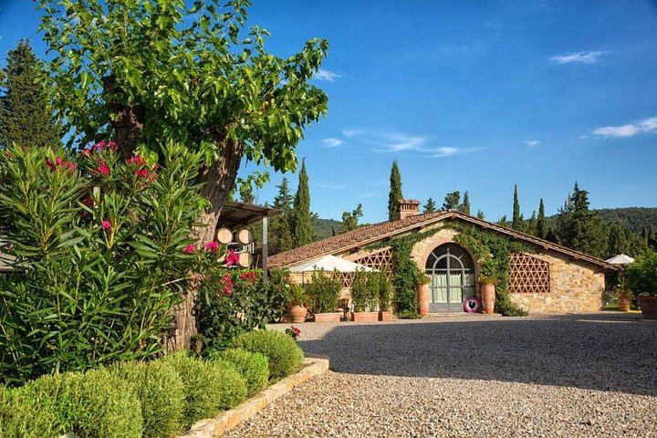 Historic Cantalici Winery in Castagnoli: Chianti Classico Family Wine Tasting (1/5)