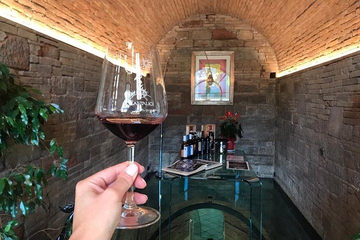 Historic Cantalici Winery in Castagnoli: Chianti Classico Family Wine Tasting (5/5)