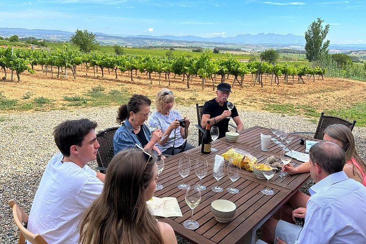 Penedès Boutique Wineries Day Trip from Barcelona: Three Family Estates, Max 8 Guests (1/6)