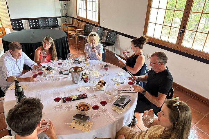 Penedès Boutique Wineries Day Trip from Barcelona: Three Family Estates, Max 8 Guests (4/6)