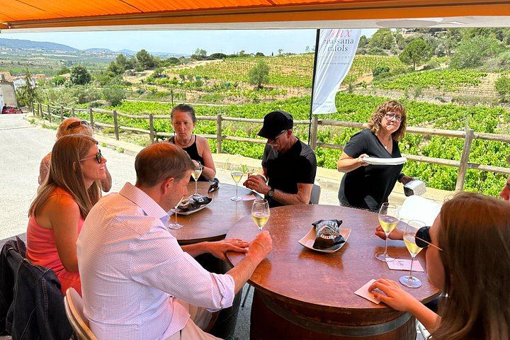 Penedès Boutique Wineries Day Trip from Barcelona: Three Family Estates, Max 8 Guests (6/6)