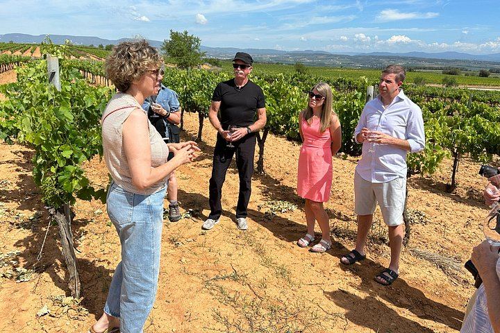 Penedès Boutique Wineries Day Trip from Barcelona: Three Family Estates, Max 8 Guests (2/6)