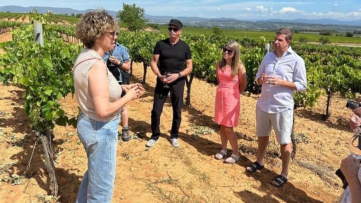 Penedès Boutique Wineries Day Trip from Barcelona: Three Family Estates, Max 8 Guests (2/6)