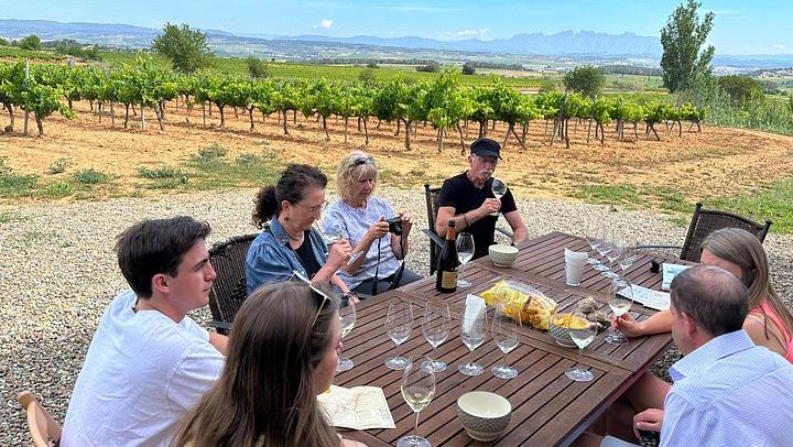 Penedès Boutique Wineries Day Trip from Barcelona: Three Family Estates, Max 8 Guests (1/6)
