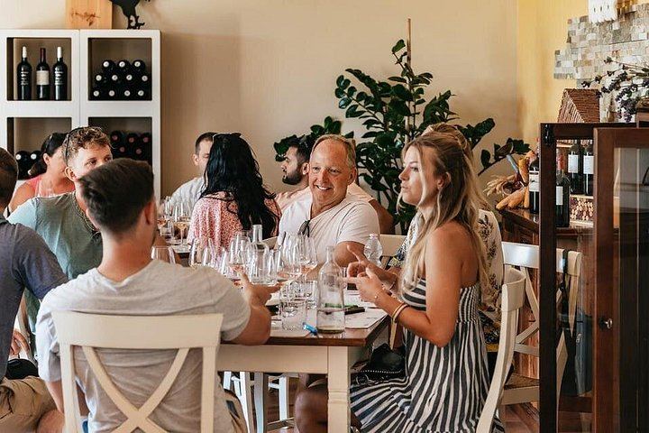 Small-Group Chianti Day from Florence: Riseccoli, Casa Emma, Poggio Torselli (9/12)