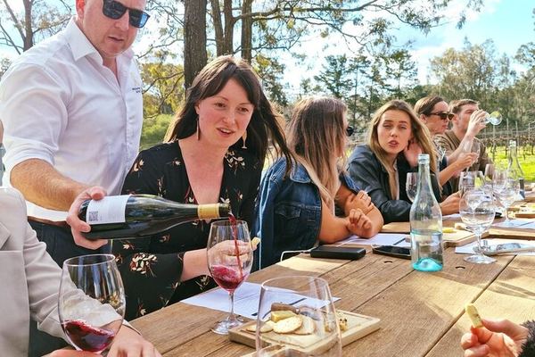 Seated Wine and Cheese Tasting at McCaffrey's Estate, a Family-Run Hunter Valley Winery
