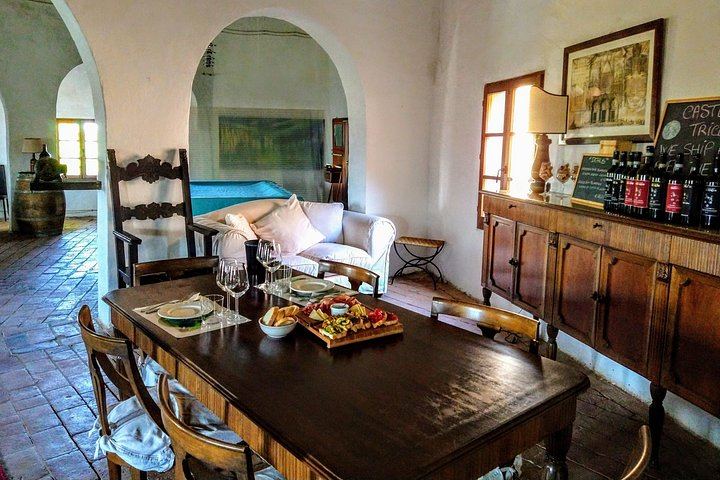 Castello Tricerchi Brunello Tasting and Tuscan Lunch in a Medieval Castle near Montalcino (3/12)