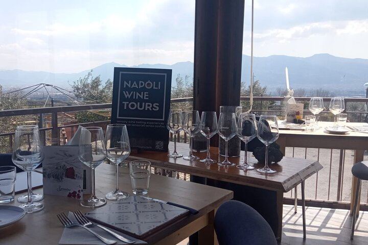 Private Vesuvius Vineyard Walk and Wine Lunch, NWT Sommelier, Transfer from Naples (6/12)