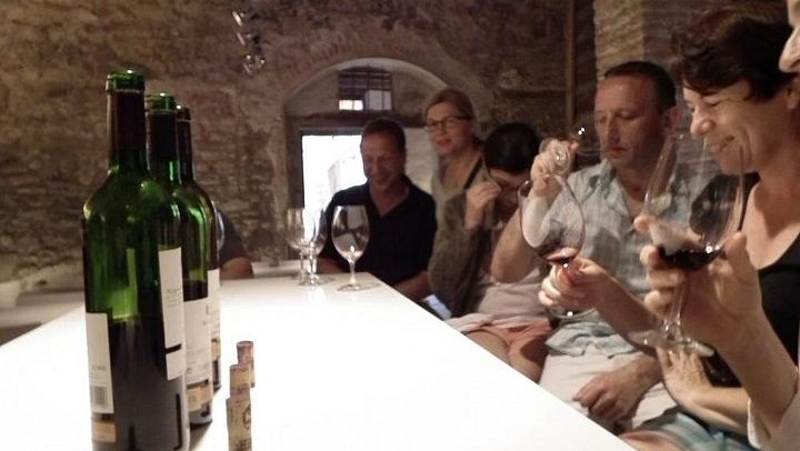 Private Priorat Day Trip: Montsant and Priorat Wines, Olive Oil and Farmer Lunch (3/6)