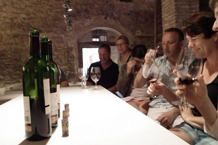 Private Priorat Day Trip: Montsant and Priorat Wines, Olive Oil and Farmer Lunch (3/6)