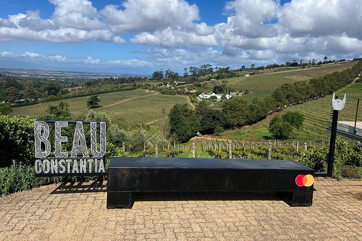 Private Wine Tasting at Tokara, Delaire Graff and Fairview in the Cape Winelands (5/10)