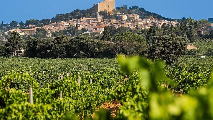 Châteauneuf-du-Pape Wine Masterclass from Avignon: Two Wineries and 5 Hours (1/8)