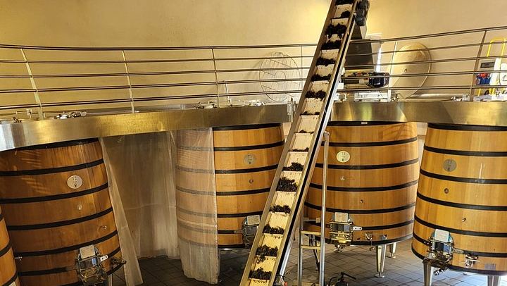 Châteauneuf-du-Pape Wine Masterclass from Avignon: Two Wineries and 5 Hours (2/8)