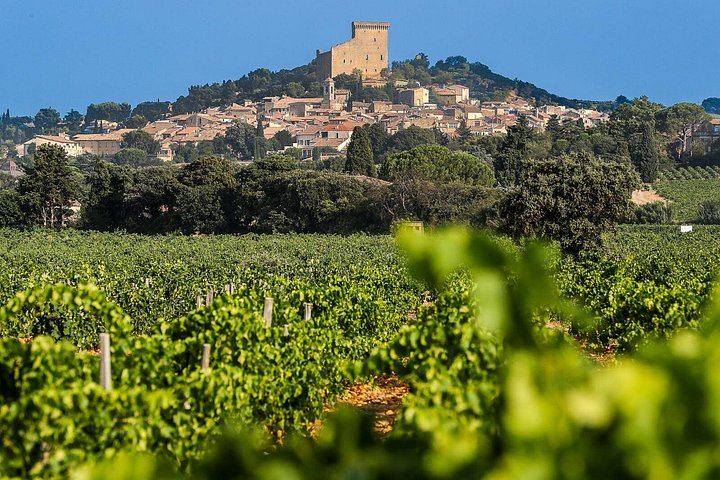 Châteauneuf-du-Pape Wine Masterclass from Avignon: Two Wineries and 5 Hours (1/8)