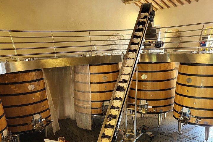 Châteauneuf-du-Pape Wine Masterclass from Avignon: Two Wineries and 5 Hours (2/8)