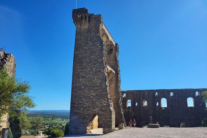 Châteauneuf-du-Pape Wine Masterclass from Avignon: Two Wineries and 5 Hours (6/8)