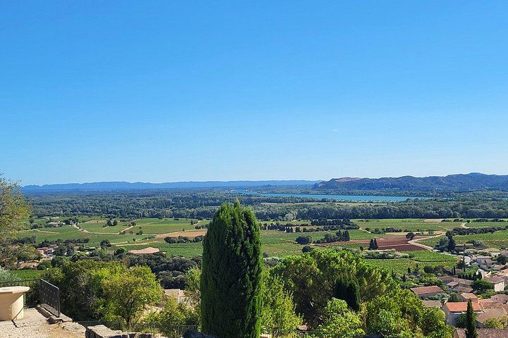 Châteauneuf-du-Pape Wine Masterclass from Avignon: Two Wineries and 5 Hours (7/8)