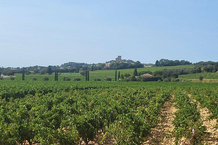 Châteauneuf-du-Pape Wine Masterclass from Avignon: Two Wineries and 5 Hours (8/8)