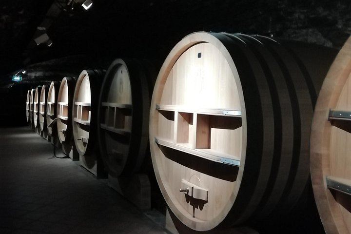Châteauneuf-du-Pape Wine Masterclass from Avignon: Two Wineries and 5 Hours (3/8)