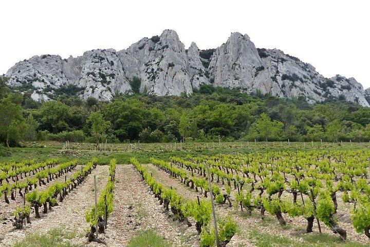 Châteauneuf-du-Pape Wine Masterclass from Avignon: Two Wineries and 5 Hours (5/8)