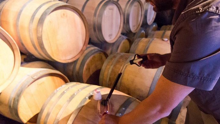 Uco Valley Wine Tour: Two Family and Boutique Wineries with Lunch (3/12)