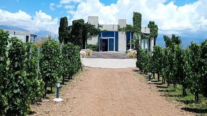 Uco Valley Wine Tour: Two Family and Boutique Wineries with Lunch (2/12)