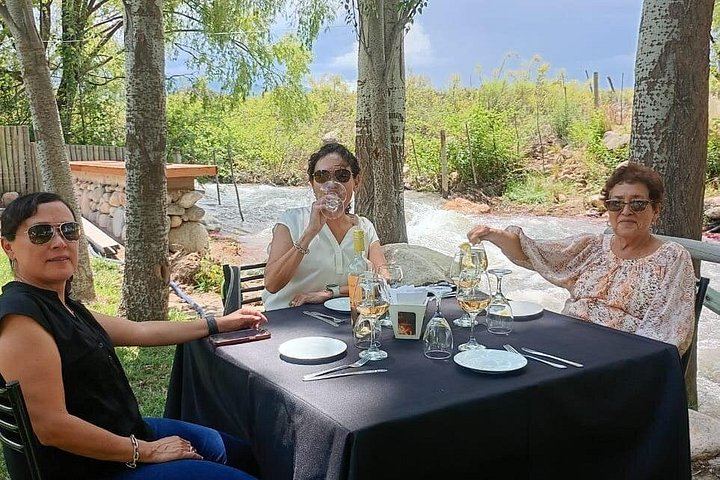 Uco Valley Wine Tour: Two Family and Boutique Wineries with Lunch (1/12)