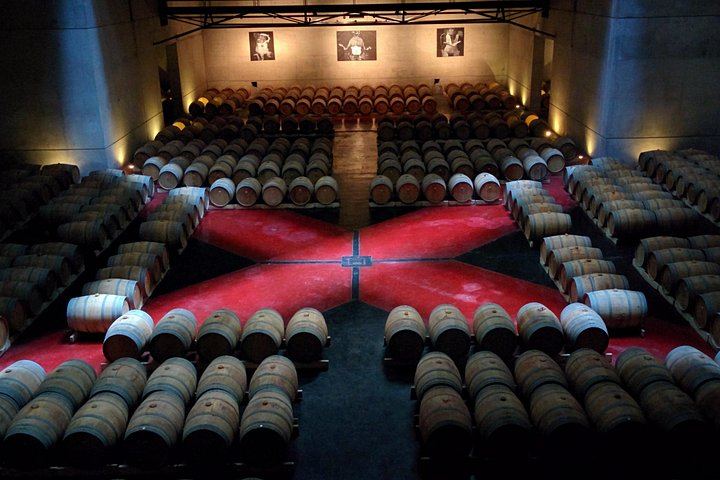 Uco Valley Wine Tour: Two Family and Boutique Wineries with Lunch (9/12)
