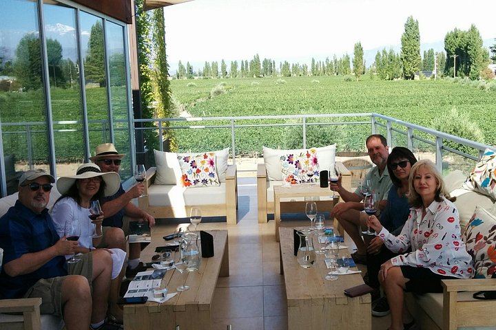 Uco Valley Wine Tour: Two Family and Boutique Wineries with Lunch (4/12)