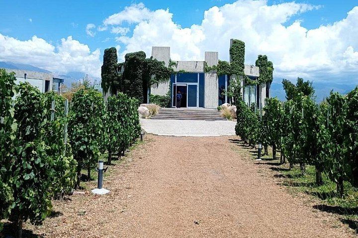 Uco Valley Wine Tour: Two Family and Boutique Wineries with Lunch (2/12)