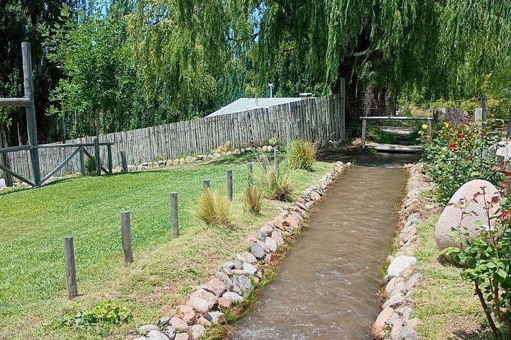 Uco Valley Wine Tour: Two Family and Boutique Wineries with Lunch (11/12)