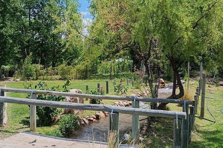 Uco Valley Wine Tour: Two Family and Boutique Wineries with Lunch (12/12)
