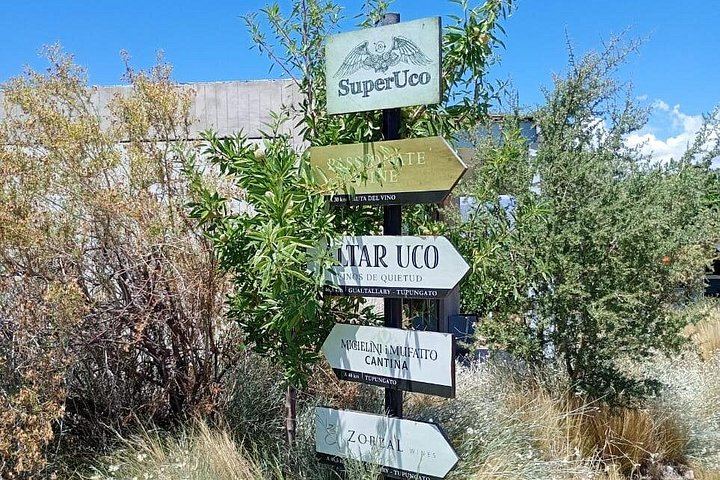 Uco Valley Wine Tour: Two Family and Boutique Wineries with Lunch (8/12)
