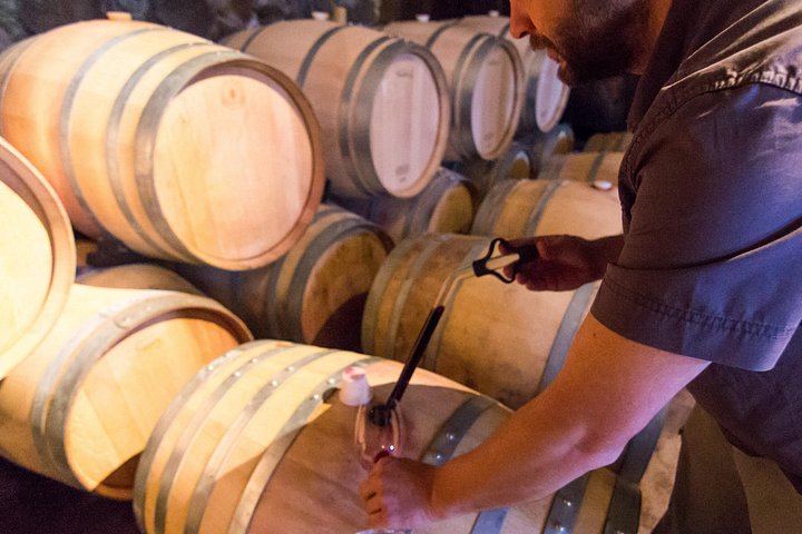 Uco Valley Wine Tour: Two Family and Boutique Wineries with Lunch (3/12)