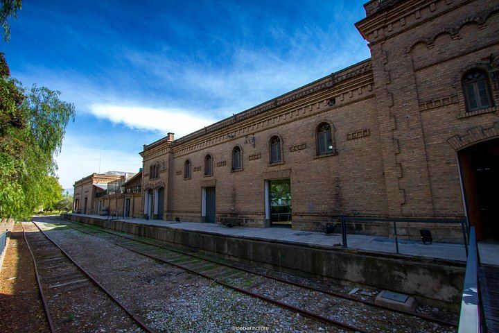Full-Day Maipú Wine Tour: Trapiche, Santa Julia and Zuelo Olive Oil Lunch (7/12)