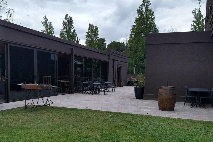 Full-Day Maipú Wine Tour: Trapiche, Santa Julia and Zuelo Olive Oil Lunch (11/12)