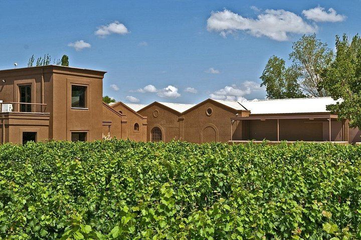 Full-Day Maipú Wine Tour: Trapiche, Santa Julia and Zuelo Olive Oil Lunch (9/12)