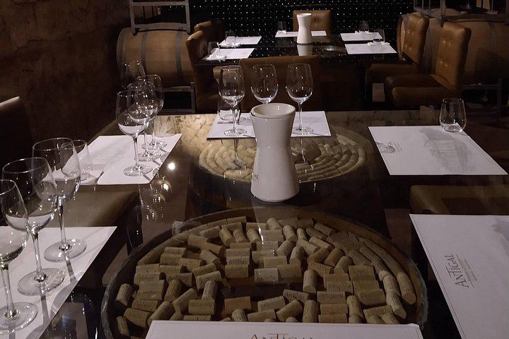 Full-Day Maipú Wine Tour: Trapiche, Santa Julia and Zuelo Olive Oil Lunch (10/12)