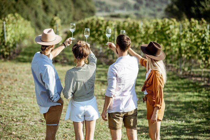 Gambino Winery Tasting on Etna from Taormina: Four Wines and a Sicilian Aperitif (10/12)