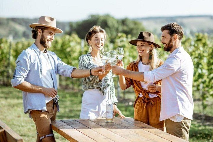 Semi-Private Mercedes Van Wine Day from Florence: San Gimignano and Prosecco (8/12)