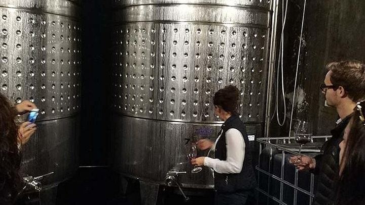 Private Penedès Wine and Cava Tasting Tour from Barcelona with Hotel Pickup (1/10)