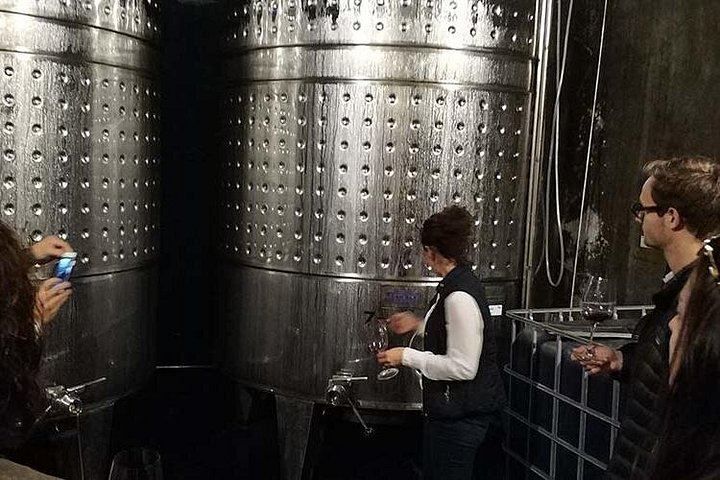 Private Penedès Wine and Cava Tasting Tour from Barcelona with Hotel Pickup (1/10)