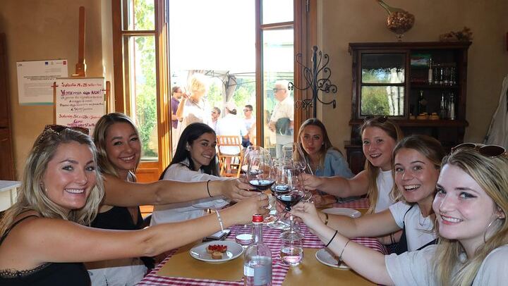 Afternoon Chianti Wine Tasting by Coach from Florence: 2 Family Wineries, Panoramic Views (1/7)