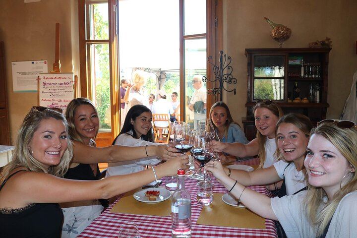 Afternoon Chianti Wine Tasting by Coach from Florence: 2 Family Wineries, Panoramic Views (1/7)