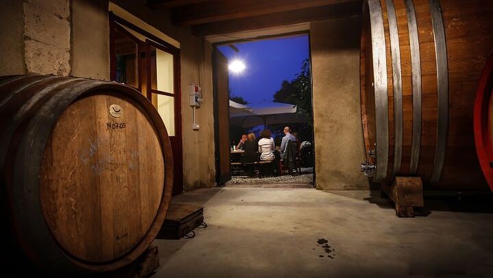 Corte San Mattia Organic Wine Tasting on a Terrace with a View over Verona (1/9)