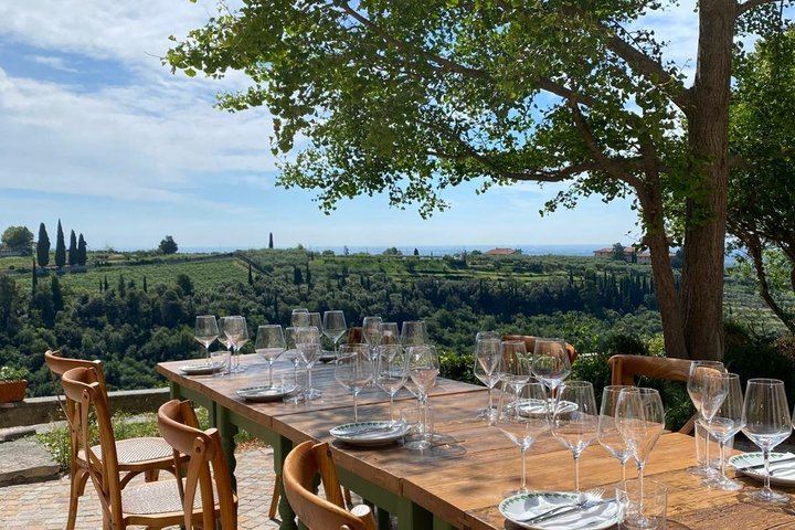 Corte San Mattia Organic Wine Tasting on a Terrace with a View over Verona (9/9)